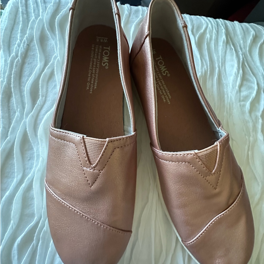 🐝 TOMS FLATS
